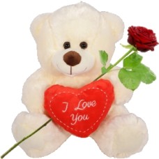 White teddy bear 30cm with red I love you heart (White teddy bear I Love you with red heart + fresh red rose + 300 grams of handmade chocolates)